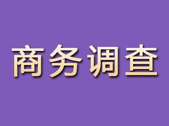 大安商务调查